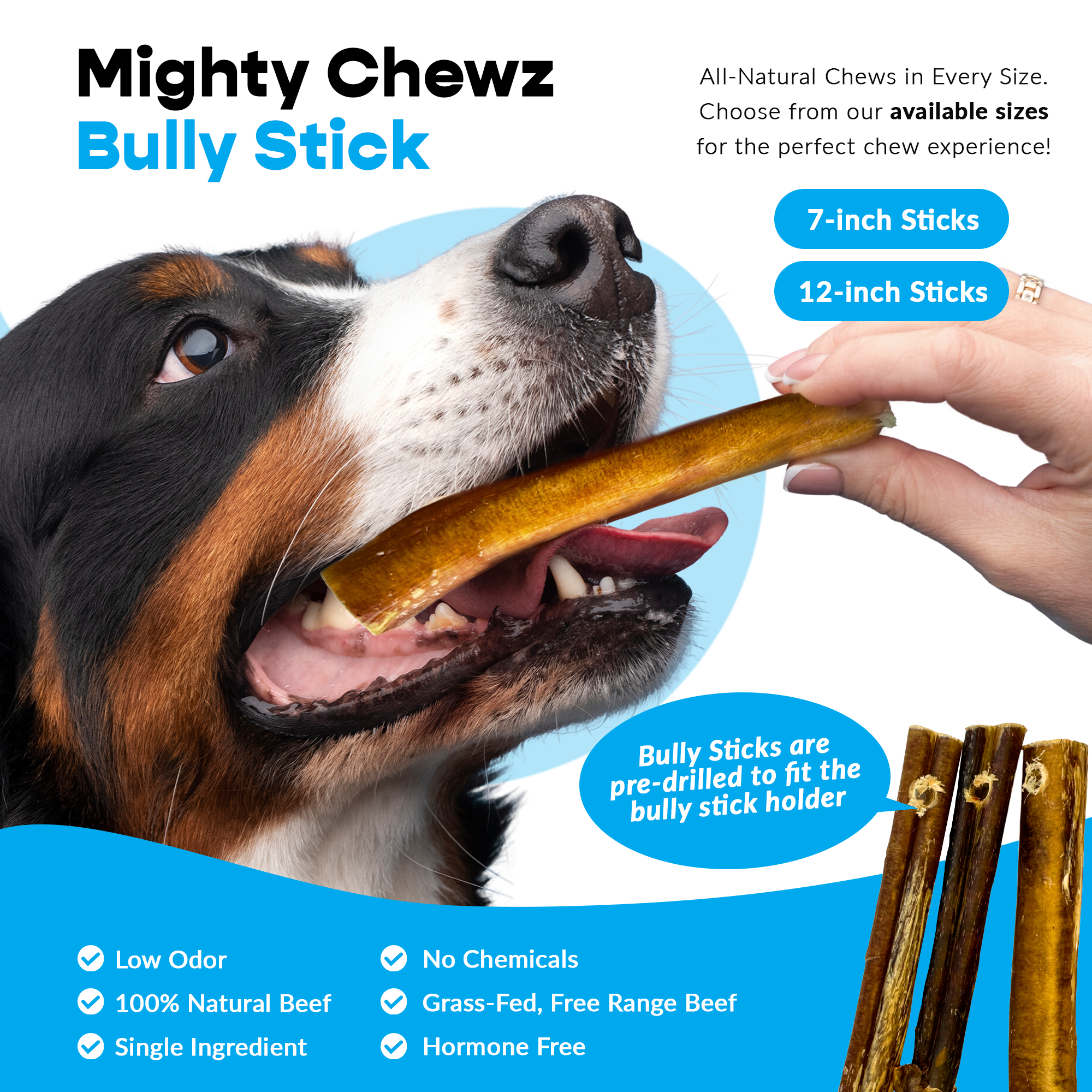 7" Thick Bully Sticks - Refill Pack