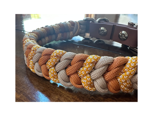Coiled Charm Hand Braided Dog Collar in Mustard, Goldenrod, & Light Tan
