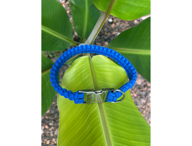 Cobra Braid in Royal Blue - Handmade Dog Collar
