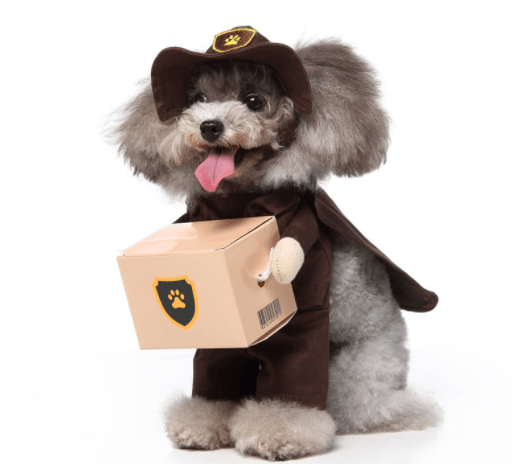 Funny Cosplay Pet Costume Set: Cute Cartoon Dog Outfit For Halloween And Christmas Dress-Up-9
